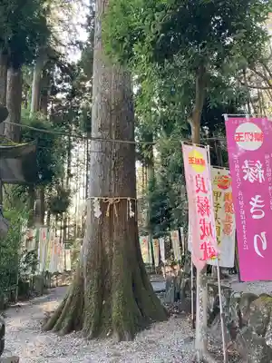 中之嶽神社(群馬県)