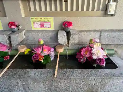 露天神社（お初天神）の{uncategorized: "未分類", other: "その他", undefined: "問題あり", building: "その他建物", grave: "お墓", sacred_gate: "鳥居", guardian: "狛犬", statue: "像", buddha: "仏像", history: "歴史", nature: "自然", garden: "庭園", animal: "動物", pagoda: "塔", temizu: "手水舎", mountain_gate: "山門・神門", sanctuary: "本殿・本堂", subordinate: "末社・摂社", art: "芸術", scenery: "景色", jizo: "地蔵", ema: "絵馬", goshuin: "御朱印", omikuji: "おみくじ", items: "授与品その他", amulet: "お守り", goshuincho: "御朱印帳", eats: "食事", festival: "お祭り", votive_dance: "神楽", shichigosan: "七五三参", wedding: "結婚式", experience: "体験その他", initially: "初詣", around: "周辺", anti_infection: "感染症対策"}