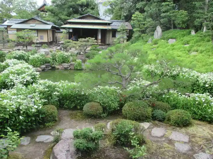 両足院の庭園