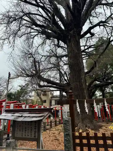 鬼子母神堂　(法明寺）の{uncategorized: "未分類", other: "その他", undefined: "問題あり", building: "その他建物", grave: "お墓", sacred_gate: "鳥居", guardian: "狛犬", statue: "像", buddha: "仏像", history: "歴史", nature: "自然", garden: "庭園", animal: "動物", pagoda: "塔", temizu: "手水舎", mountain_gate: "山門・神門", sanctuary: "本殿・本堂", subordinate: "末社・摂社", art: "芸術", scenery: "景色", jizo: "地蔵", ema: "絵馬", goshuin: "御朱印", omikuji: "おみくじ", items: "授与品その他", amulet: "お守り", goshuincho: "御朱印帳", eats: "食事", festival: "お祭り", votive_dance: "神楽", shichigosan: "七五三参", wedding: "結婚式", experience: "体験その他", initially: "初詣", around: "周辺", anti_infection: "感染症対策"}