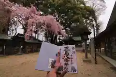 三島八幡神社の御朱印