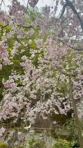 慈眼寺(京都府)