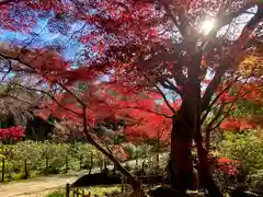 本土寺(千葉県)