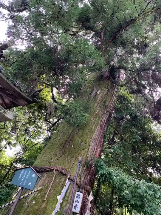石山寺(滋賀県)