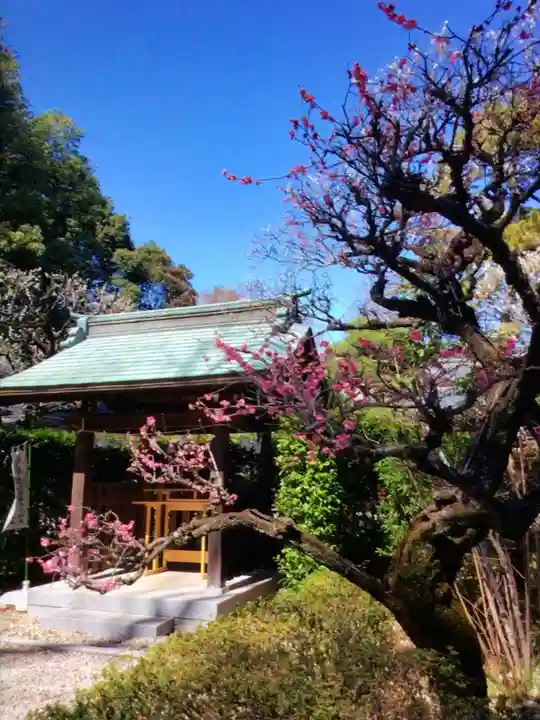 布多天神社(東京都)