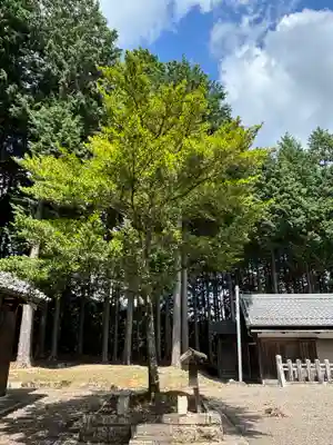 正福寺(滋賀県)