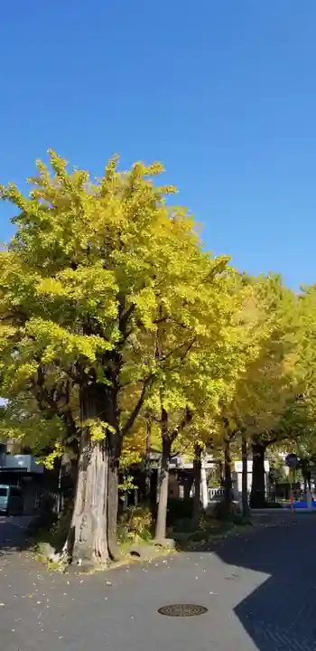 高木神社の自然