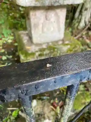 宝厳寺(滋賀県)