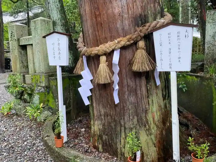 椙本神社(高知県)