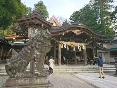 白山比咩神社の狛犬