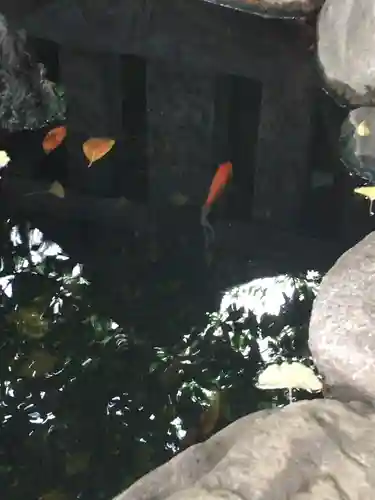 神明氷川神社の動物