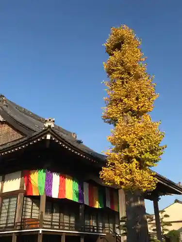 明願寺の本殿