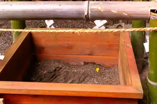 白山比咩神社(石川県)