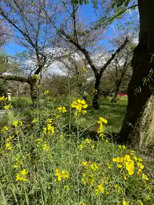 平野神社(京都府)