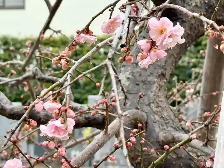 伊勢の国 四天王寺の自然