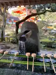 賀茂別雷神社（上賀茂神社）の手水