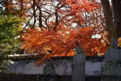 来迎寺(山口県)