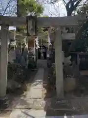 松戸神社の鳥居