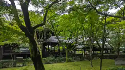 真正極楽寺(真如堂)(京都府)