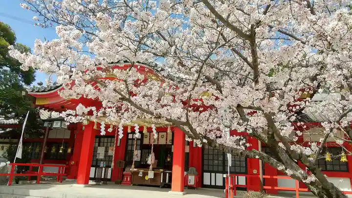 市原稲荷神社の自然