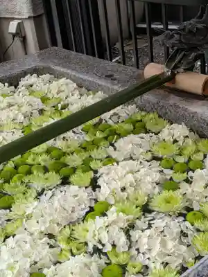 高円寺氷川神社(東京都)