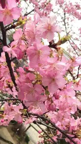 龍眼寺（萩寺）の自然