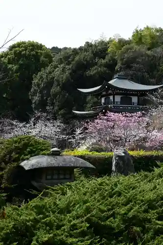 勧修寺(京都府)