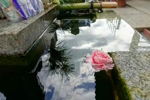 おふさ観音（観音寺）の景色