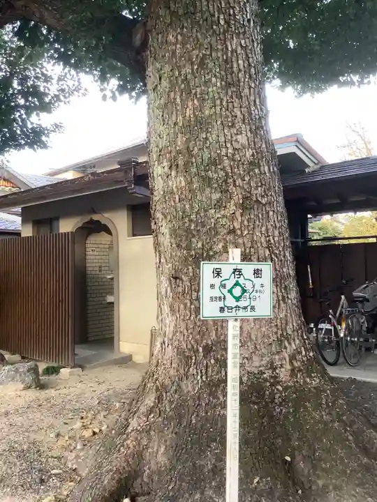 薬師山 林昌寺の自然