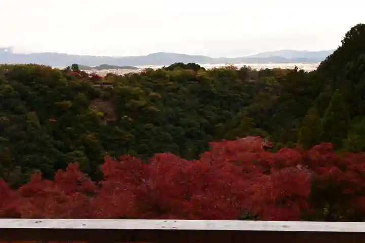 大悲閣千光寺(京都府)