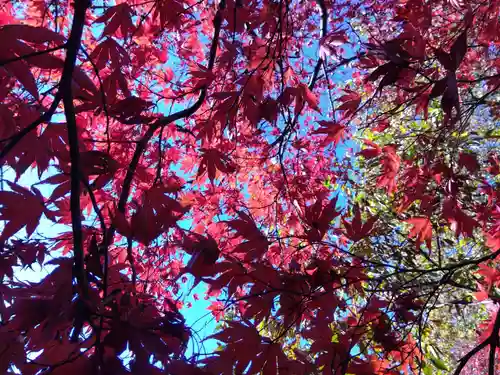 足羽山招魂社(福井県)