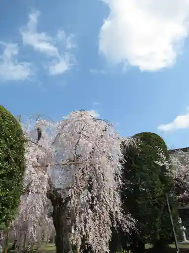 慶龍寺(茨城県)