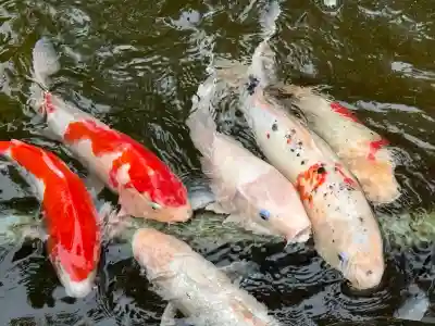 素盞嗚神社の{uncategorized: "未分類", other: "その他", undefined: "問題あり", building: "その他建物", grave: "お墓", sacred_gate: "鳥居", guardian: "狛犬", statue: "像", buddha: "仏像", history: "歴史", nature: "自然", garden: "庭園", animal: "動物", pagoda: "塔", temizu: "手水舎", mountain_gate: "山門・神門", sanctuary: "本殿・本堂", subordinate: "末社・摂社", art: "芸術", scenery: "景色", jizo: "地蔵", ema: "絵馬", goshuin: "御朱印", omikuji: "おみくじ", items: "授与品その他", amulet: "お守り", goshuincho: "御朱印帳", eats: "食事", festival: "お祭り", votive_dance: "神楽", shichigosan: "七五三参", wedding: "結婚式", experience: "体験その他", initially: "初詣", around: "周辺", anti_infection: "感染症対策"}