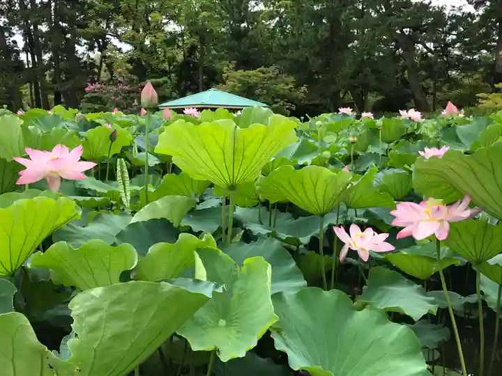 白山神社(新潟県)