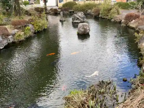 圓鏡寺の庭園