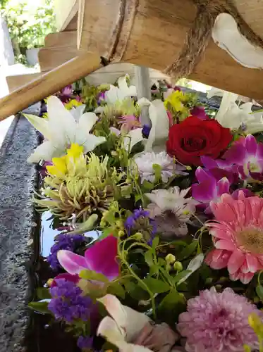 鳩森八幡神社の手水舎