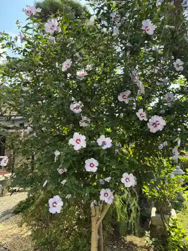 湯川寺 (北海道)