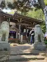 星井寺(虚空蔵堂)の狛犬