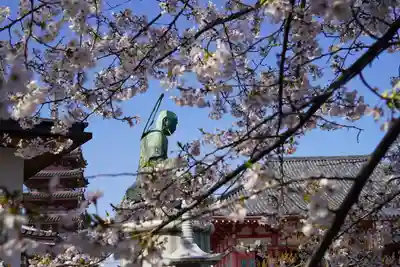 津観音(三重県)