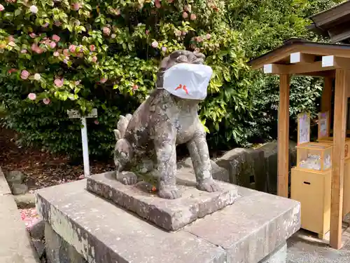 鶴岡八幡宮の狛犬