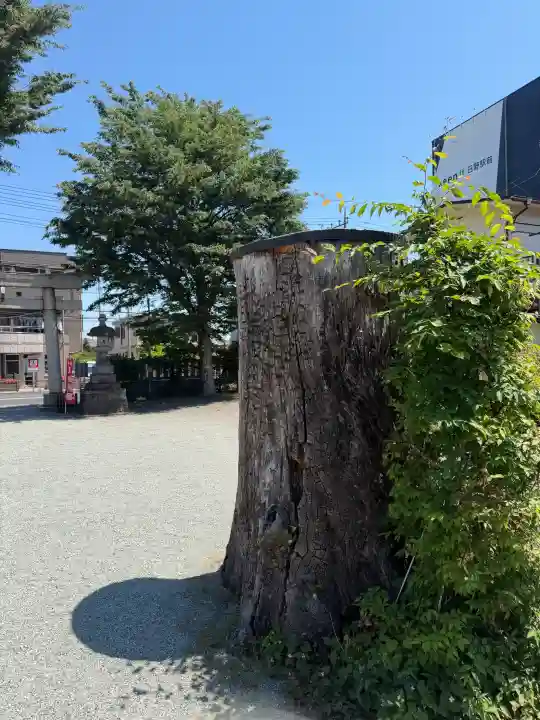 日野八坂神社の{uncategorized: "未分類", other: "その他", undefined: "問題あり", building: "その他建物", grave: "お墓", sacred_gate: "鳥居", guardian: "狛犬", statue: "像", buddha: "仏像", history: "歴史", nature: "自然", garden: "庭園", animal: "動物", pagoda: "塔", temizu: "手水舎", mountain_gate: "山門・神門", sanctuary: "本殿・本堂", subordinate: "末社・摂社", art: "芸術", scenery: "景色", jizo: "地蔵", ema: "絵馬", goshuin: "御朱印", omikuji: "おみくじ", items: "授与品その他", amulet: "お守り", goshuincho: "御朱印帳", eats: "食事", festival: "お祭り", votive_dance: "神楽", shichigosan: "七五三参", wedding: "結婚式", experience: "体験その他", initially: "初詣", around: "周辺", anti_infection: "感染症対策"}