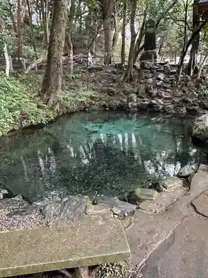 泉神社(茨城県)