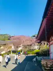 南法華寺（壷阪寺）(奈良県)