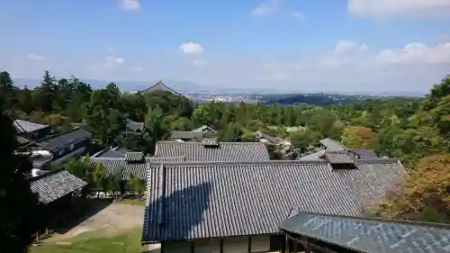 東大寺の{uncategorized: "未分類", other: "その他", undefined: "問題あり", building: "その他建物", grave: "お墓", sacred_gate: "鳥居", guardian: "狛犬", statue: "像", buddha: "仏像", history: "歴史", nature: "自然", garden: "庭園", animal: "動物", pagoda: "塔", temizu: "手水舎", mountain_gate: "山門・神門", sanctuary: "本殿・本堂", subordinate: "末社・摂社", art: "芸術", scenery: "景色", jizo: "地蔵", ema: "絵馬", goshuin: "御朱印", omikuji: "おみくじ", items: "授与品その他", amulet: "お守り", goshuincho: "御朱印帳", eats: "食事", festival: "お祭り", votive_dance: "神楽", shichigosan: "七五三参", wedding: "結婚式", experience: "体験その他", initially: "初詣", around: "周辺", anti_infection: "感染症対策"}