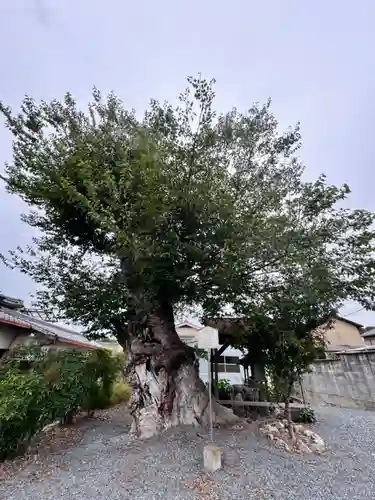 蔵林寺(京都府)