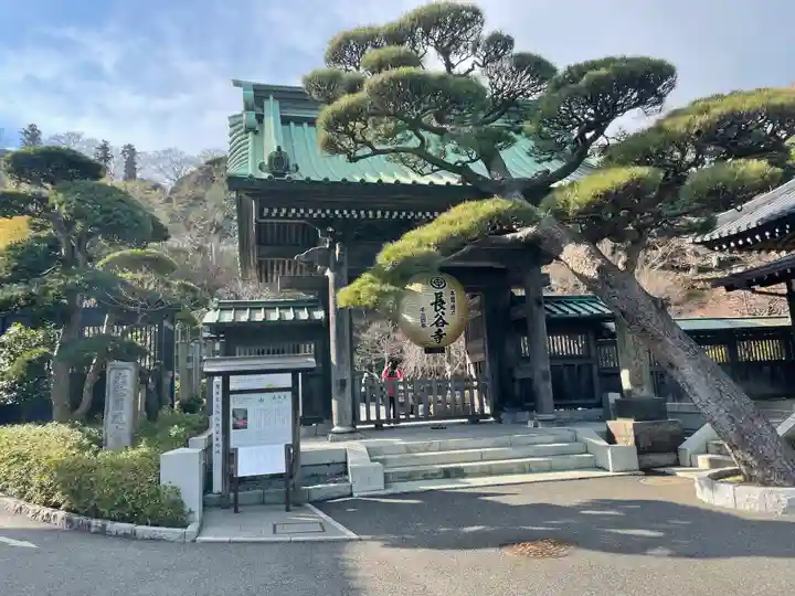 長谷寺の山門・神門