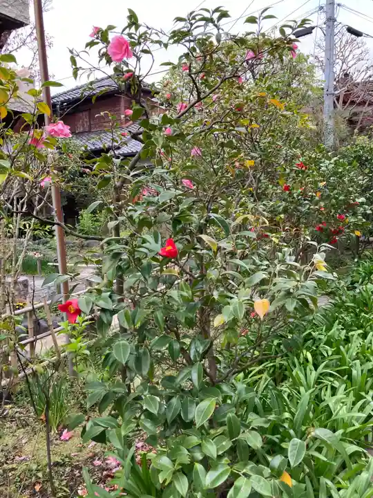 大巧寺(神奈川県)