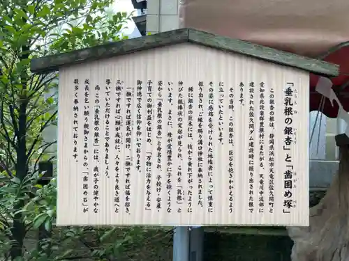 溝口神社(神奈川県)