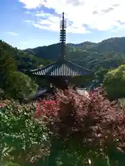 一乗寺(兵庫県)