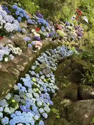 岡寺（龍蓋寺）(奈良県)
